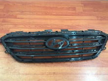 LFC front grille plate B